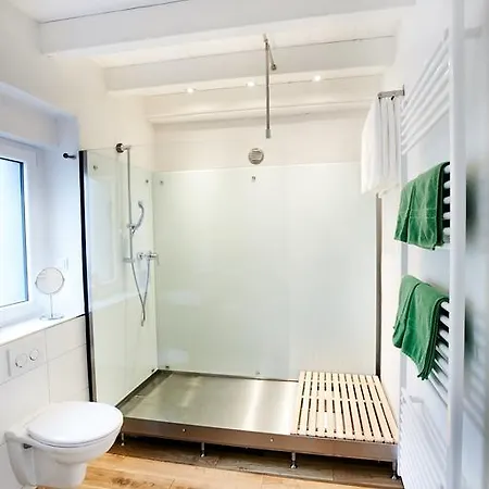 Basalt-loft *